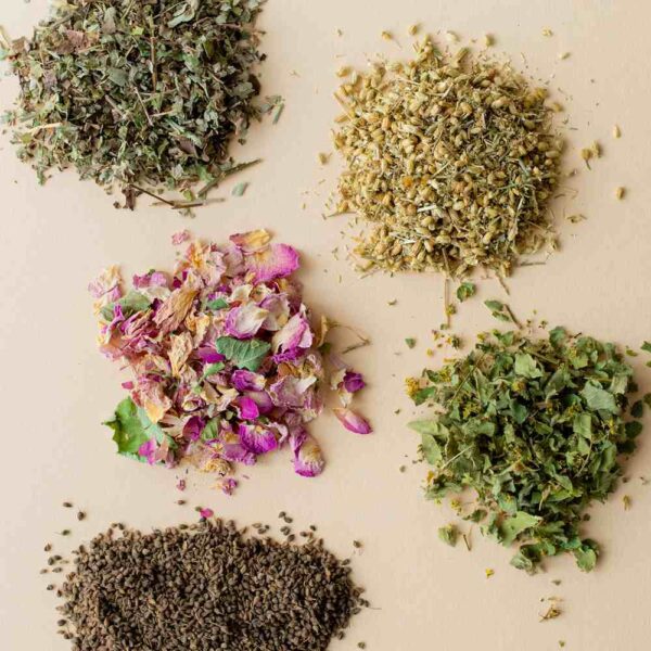 Losse ingrediënten van de na de bevalling thee, vrouwenmantel, rozenbloesem, braamblad, duizendblad en anijszaad
